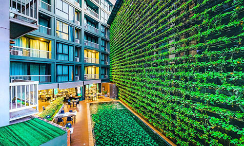 Cross Vibe Chiang Mai Decem, Nimman